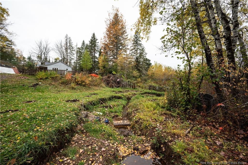 232 Route 905, Forest Glen, NB