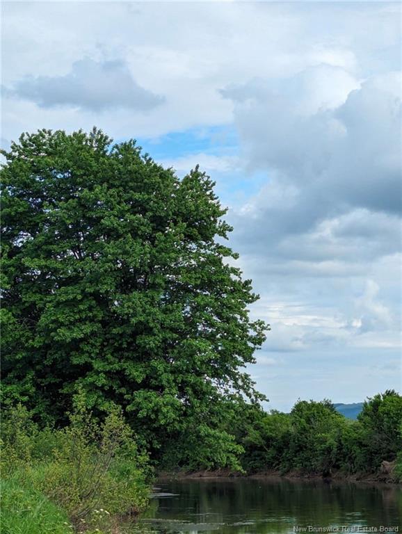 - Roachville Rd, Roachville, NB