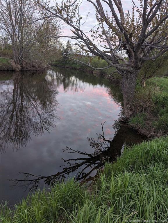 - Roachville Rd, Roachville, NB