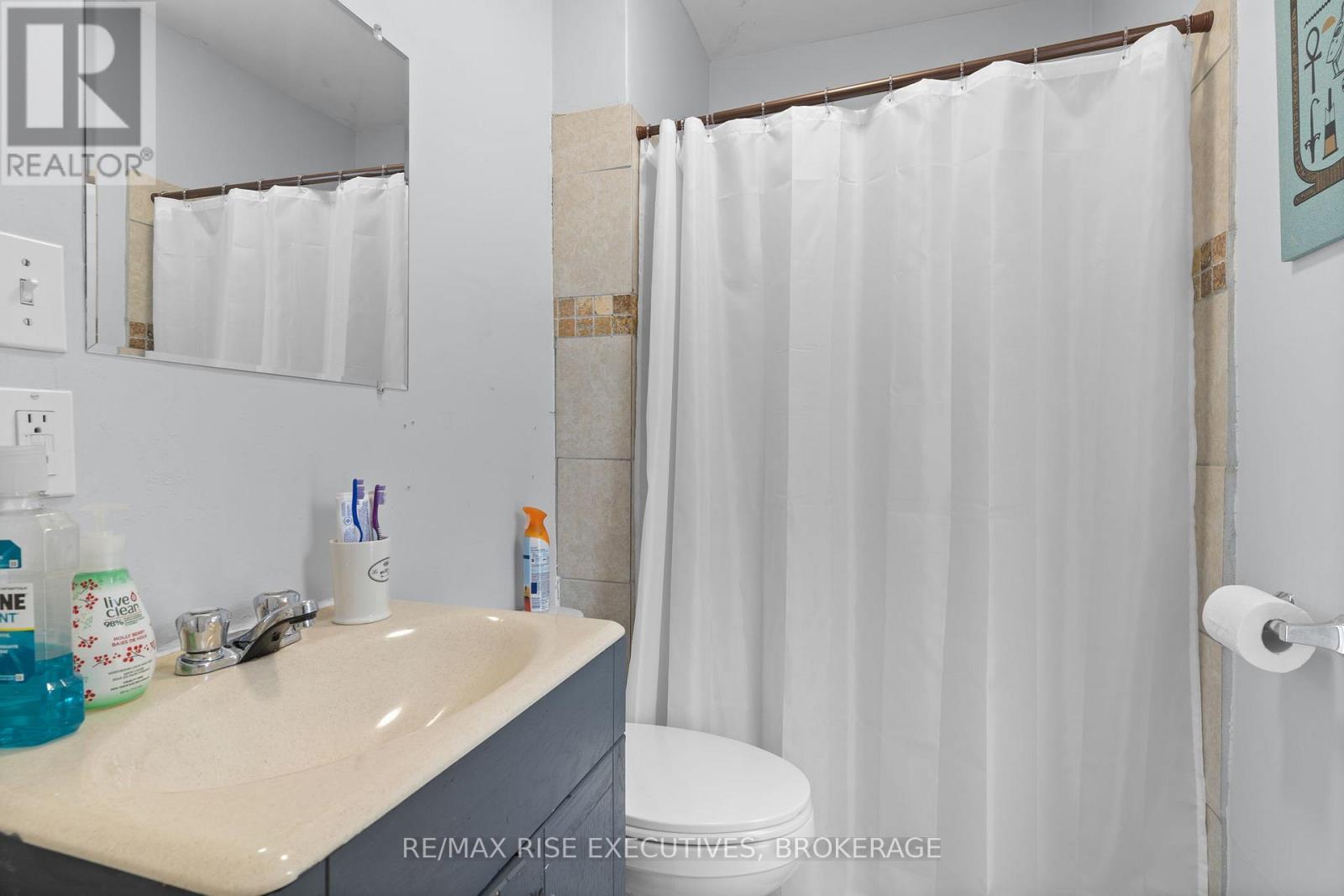 341 Division Street, Kingston (East Of Sir John A. Blvd), ON - Indoor Photo Showing Bathroom