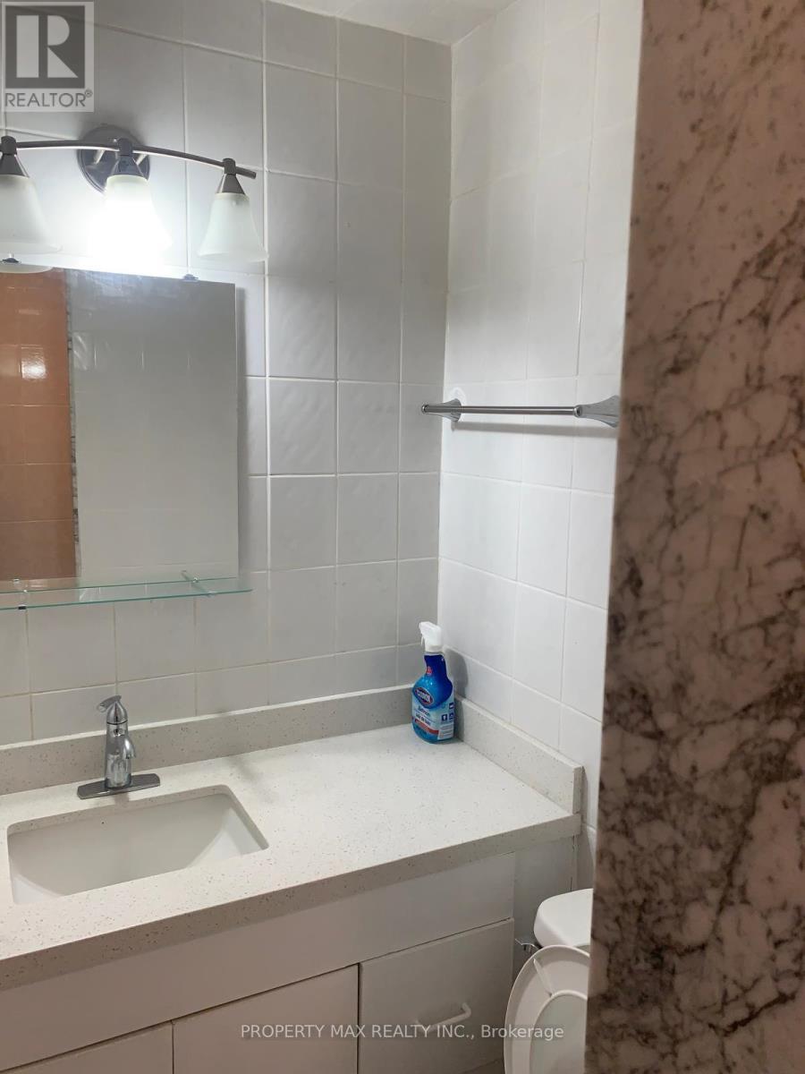 Bsmt - 24 White Tail Crescent, Brampton, ON - Indoor Photo Showing Bathroom