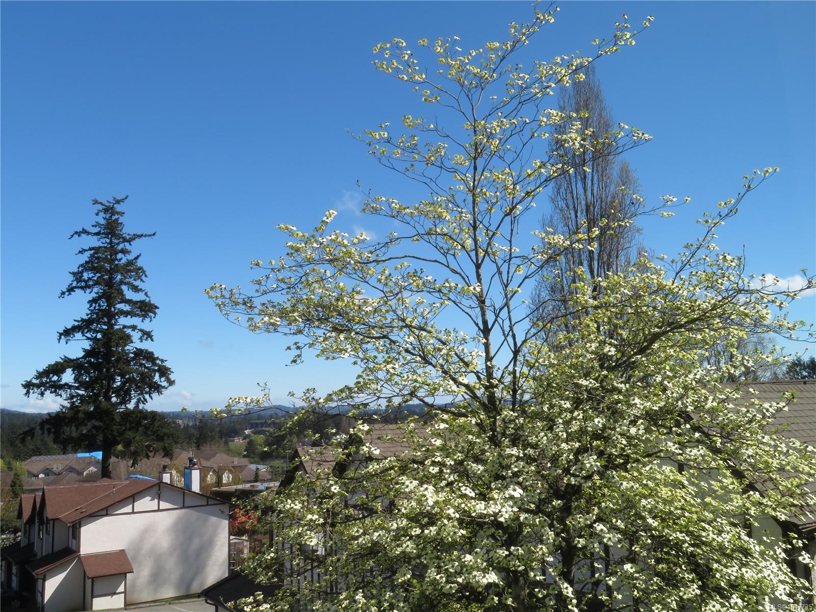 4-379 Wale Rd, Colwood, BC