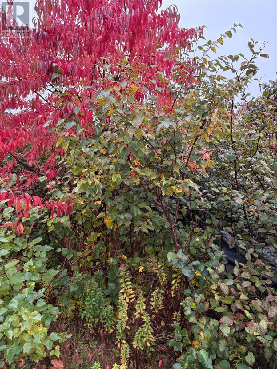 555-559 Marine Drive, Logy Bay/Middle Cove/Outer Cove, NL