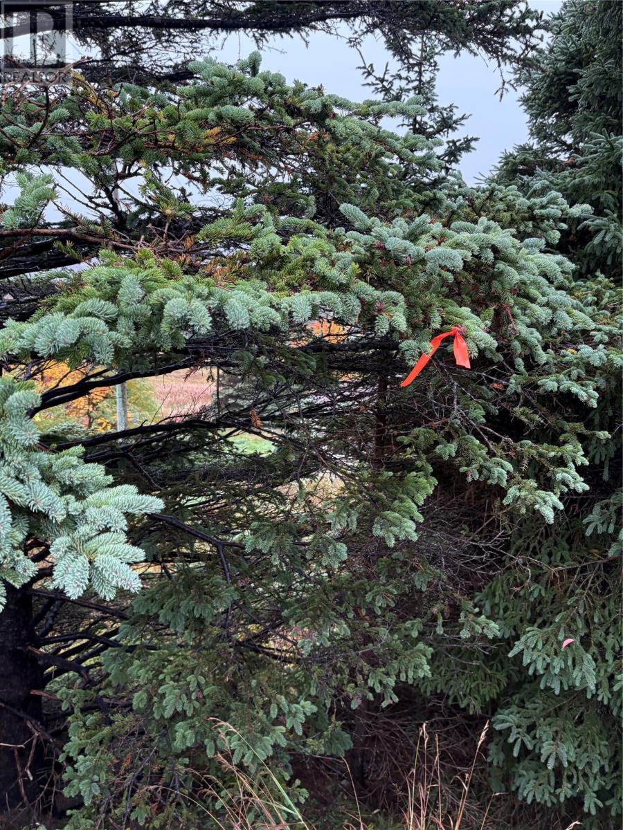 555-559 Marine Drive, Logy Bay/Middle Cove/Outer Cove, NL