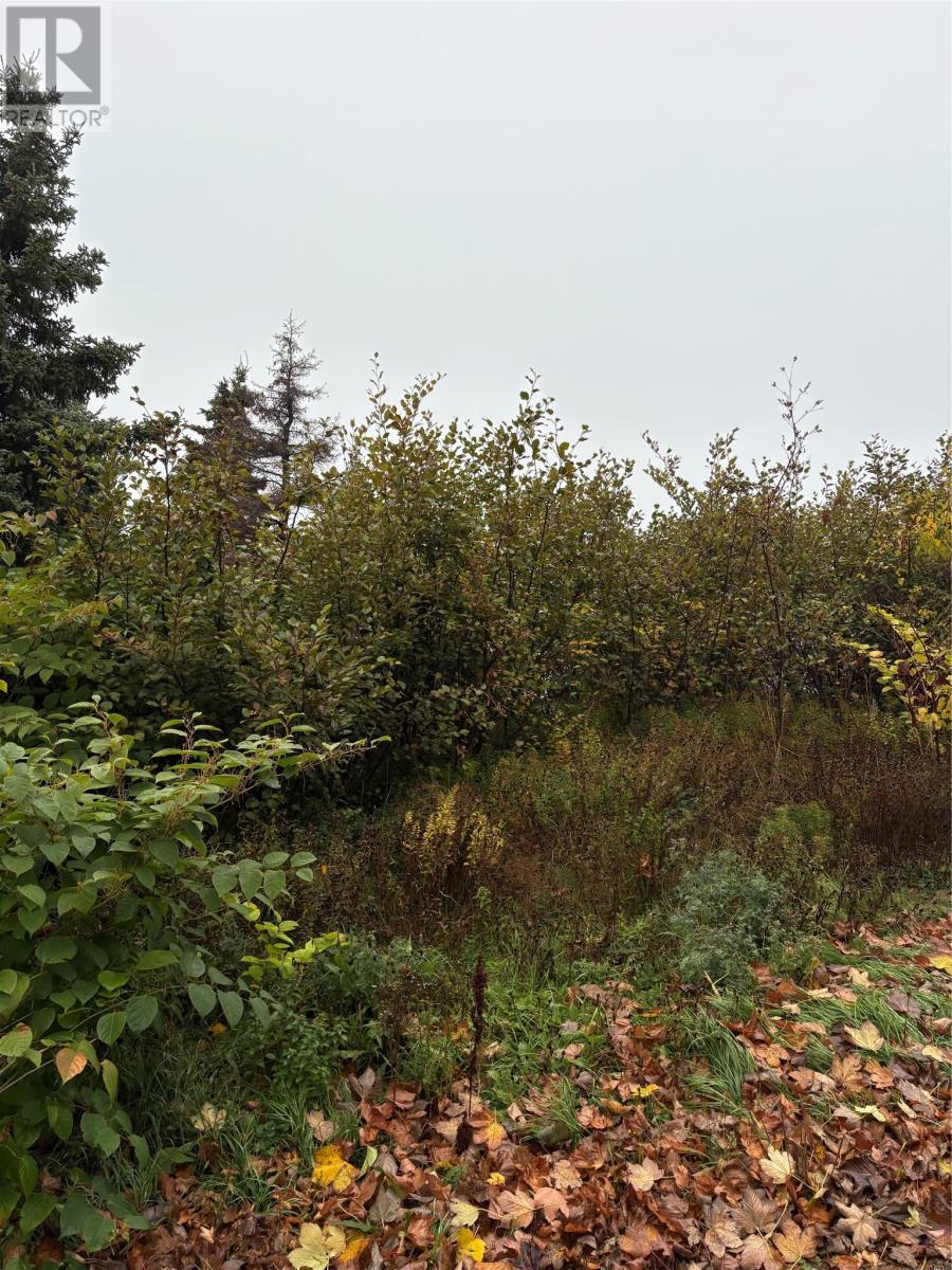 555-559 Marine Drive, Logy Bay/Middle Cove/Outer Cove, NL