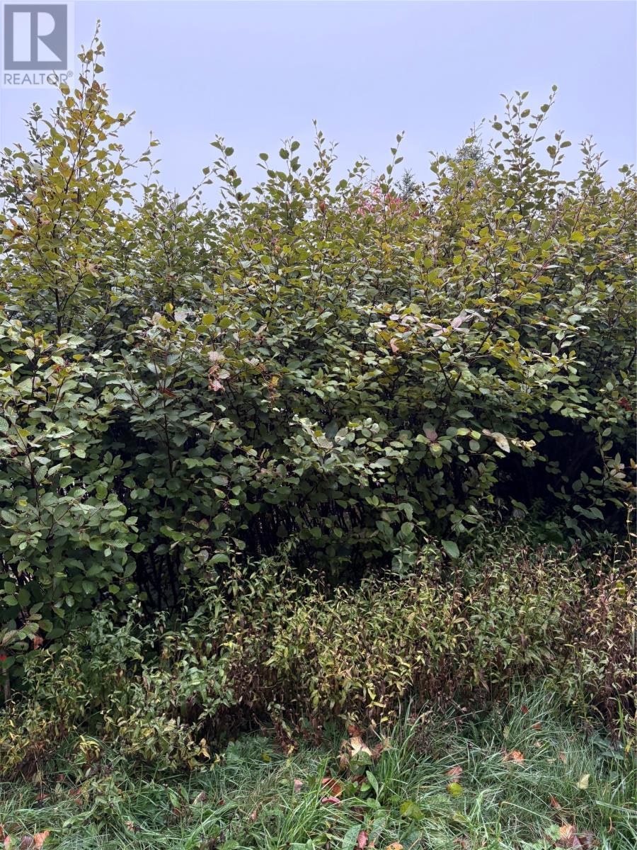 555-559 Marine Drive, Logy Bay/Middle Cove/Outer Cove, NL