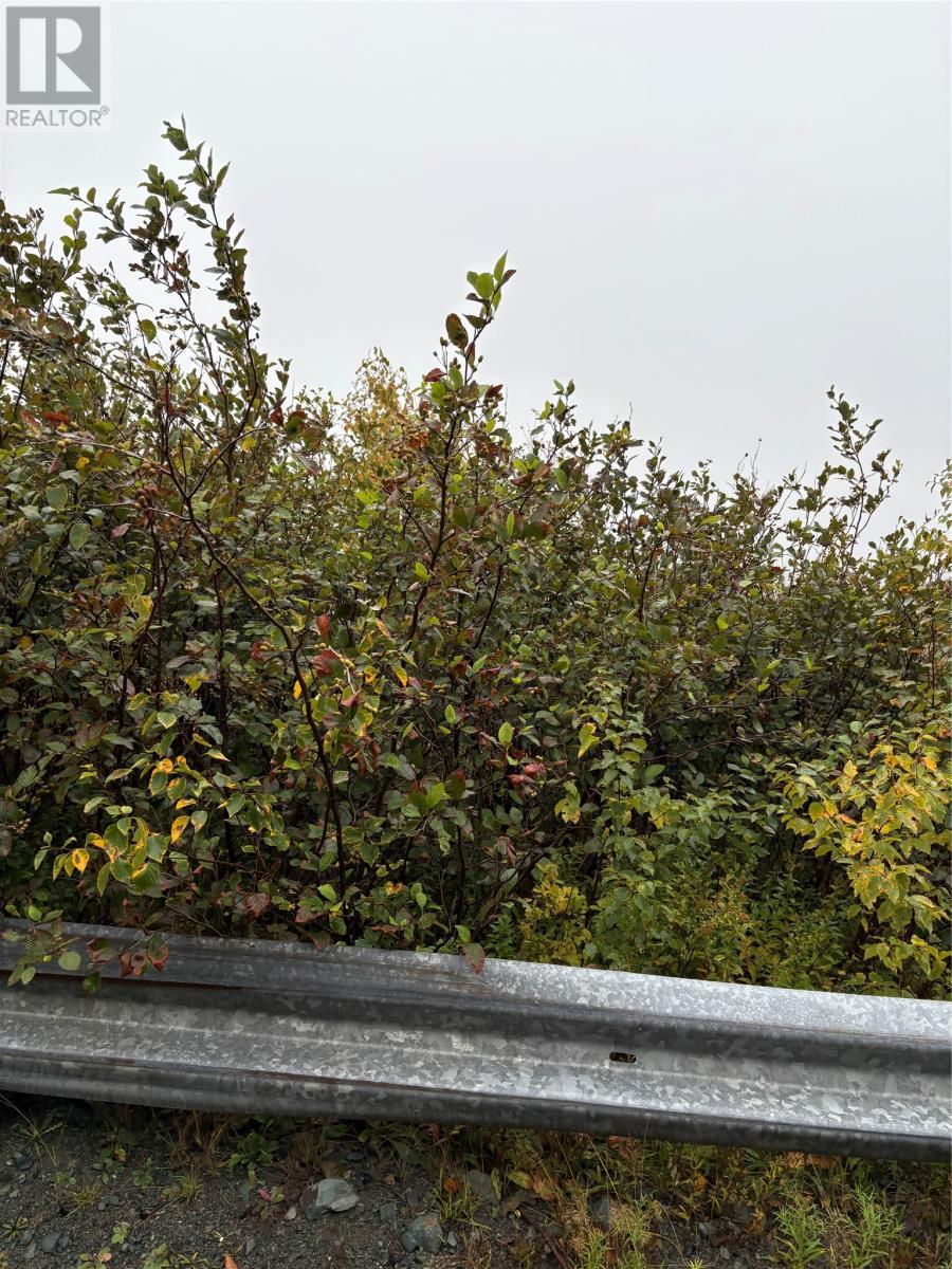 555-559 Marine Drive, Logy Bay/Middle Cove/Outer Cove, NL