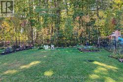 Enjoy the forest-view with no neighbours behind -