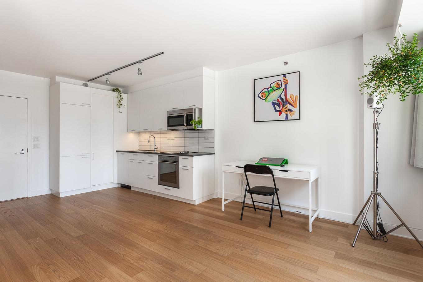 Overall view - 707-1000 Rue Ottawa, Montréal (Le Sud-Ouest), QC - Indoor Photo Showing Kitchen