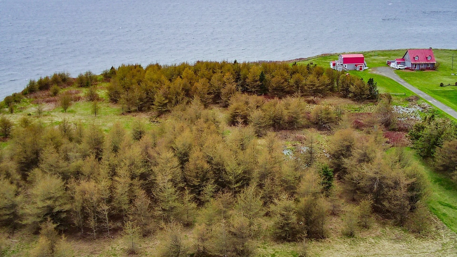 Photo aérienne - 310 Route 132 E., Bonaventure, QC