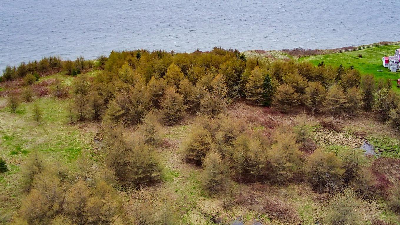 Photo aérienne - 310 Route 132 E., Bonaventure, QC