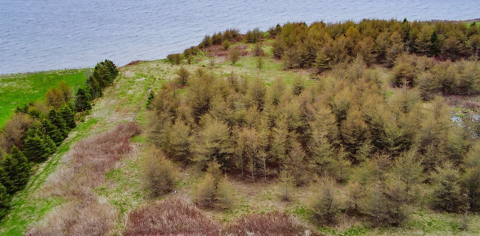 Photo aérienne - 310 Route 132 E., Bonaventure, QC