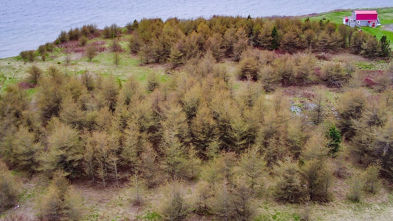 Photo aérienne - 310 Route 132 E., Bonaventure, QC