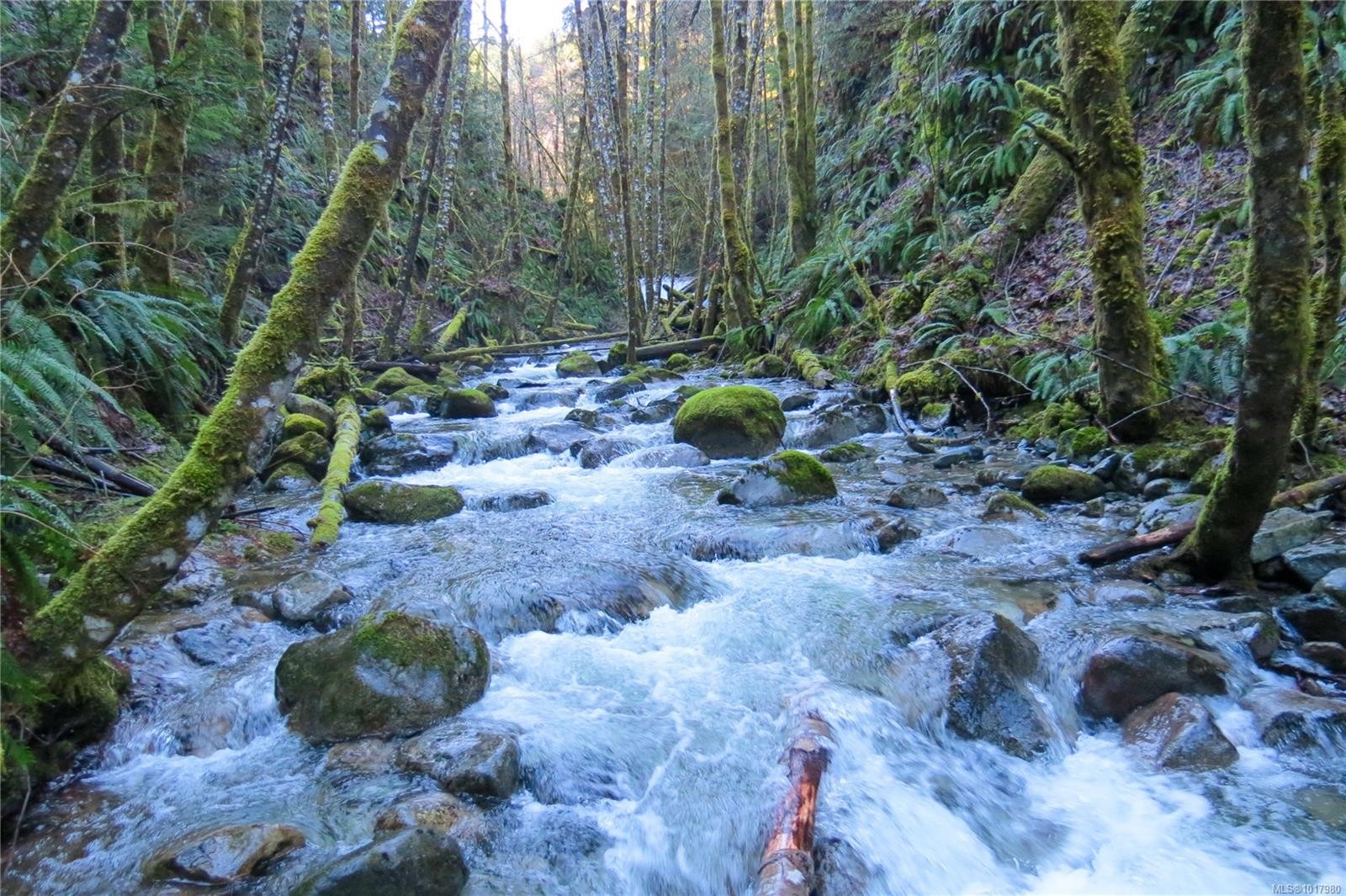 3550 Lakeshaw Rd, Cobble Hill, BC