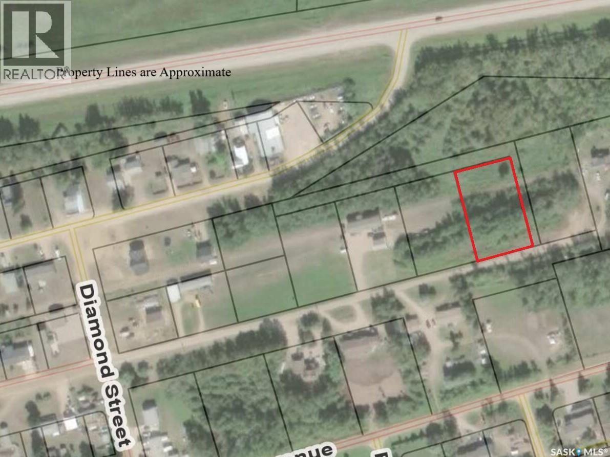 Lot 10 B Avenue, Shellbrook Rm No. 493, SK