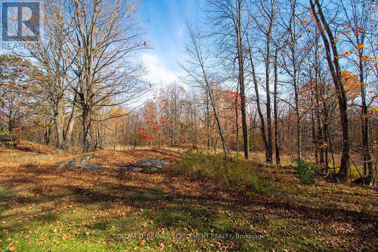 1925 Zealand Road, Frontenac (Frontenac Centre), ON - Outdoor With View