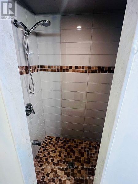 Basement - 732 Ormond Drive, Oshawa, ON - Indoor Photo Showing Bathroom