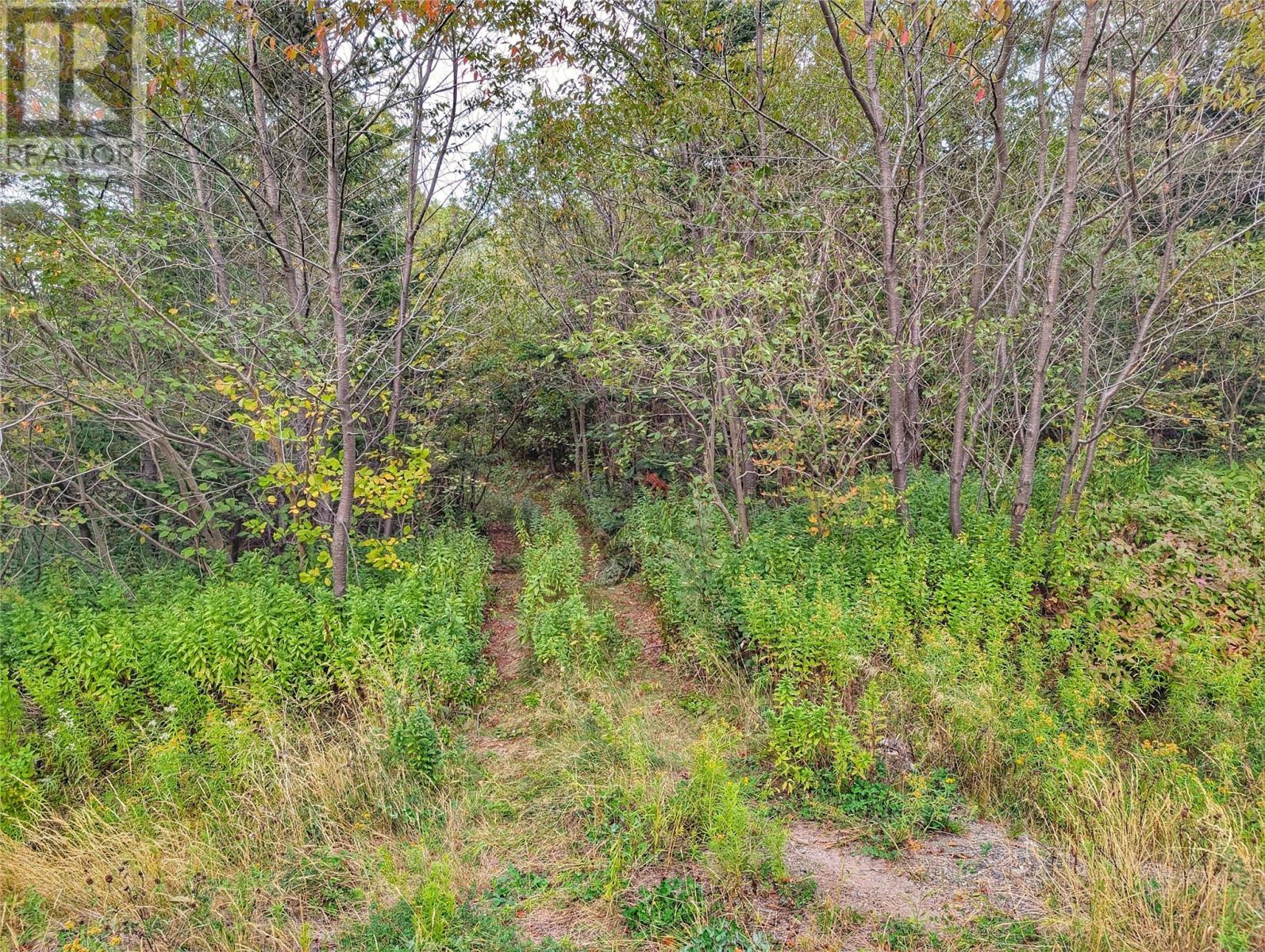 0 Tucker'S Hill, Lethbridge, NL