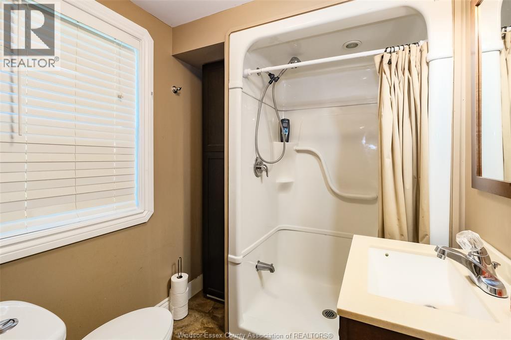 1617 Mark Avenue, Windsor, ON - Indoor Photo Showing Bathroom