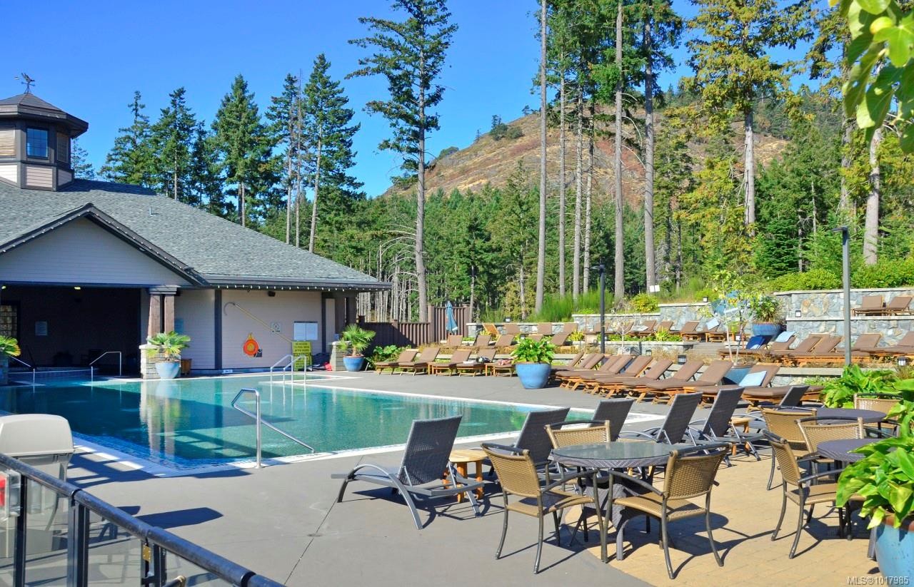 113/115 D-1376 Lynburne Pl, Langford, BC - Outdoor With In Ground Pool