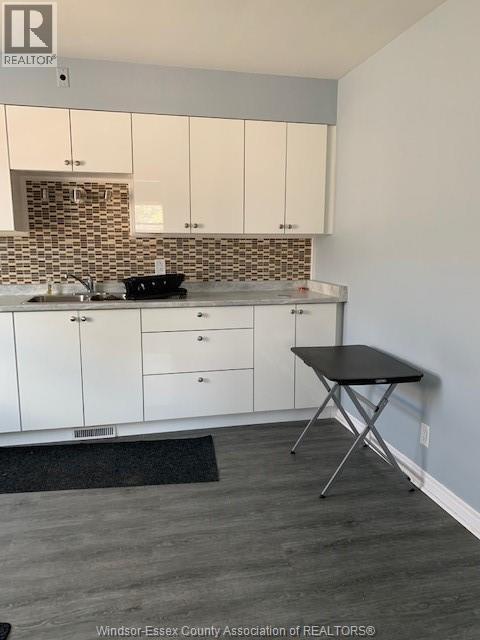 3021 Dougall Avenue Unit# Front, Windsor, ON - Indoor Photo Showing Kitchen With Upgraded Kitchen