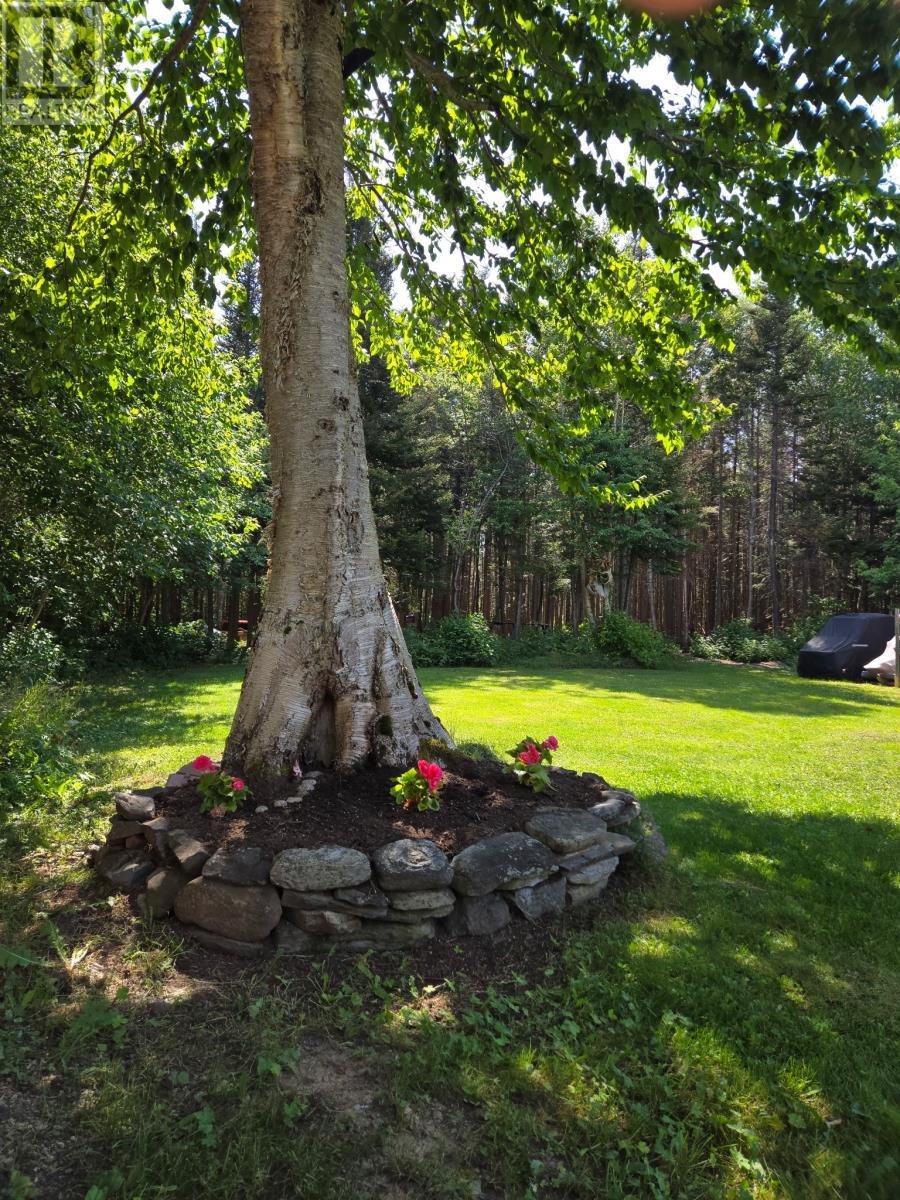 18 King Street, Pasadena, NL - Outdoor