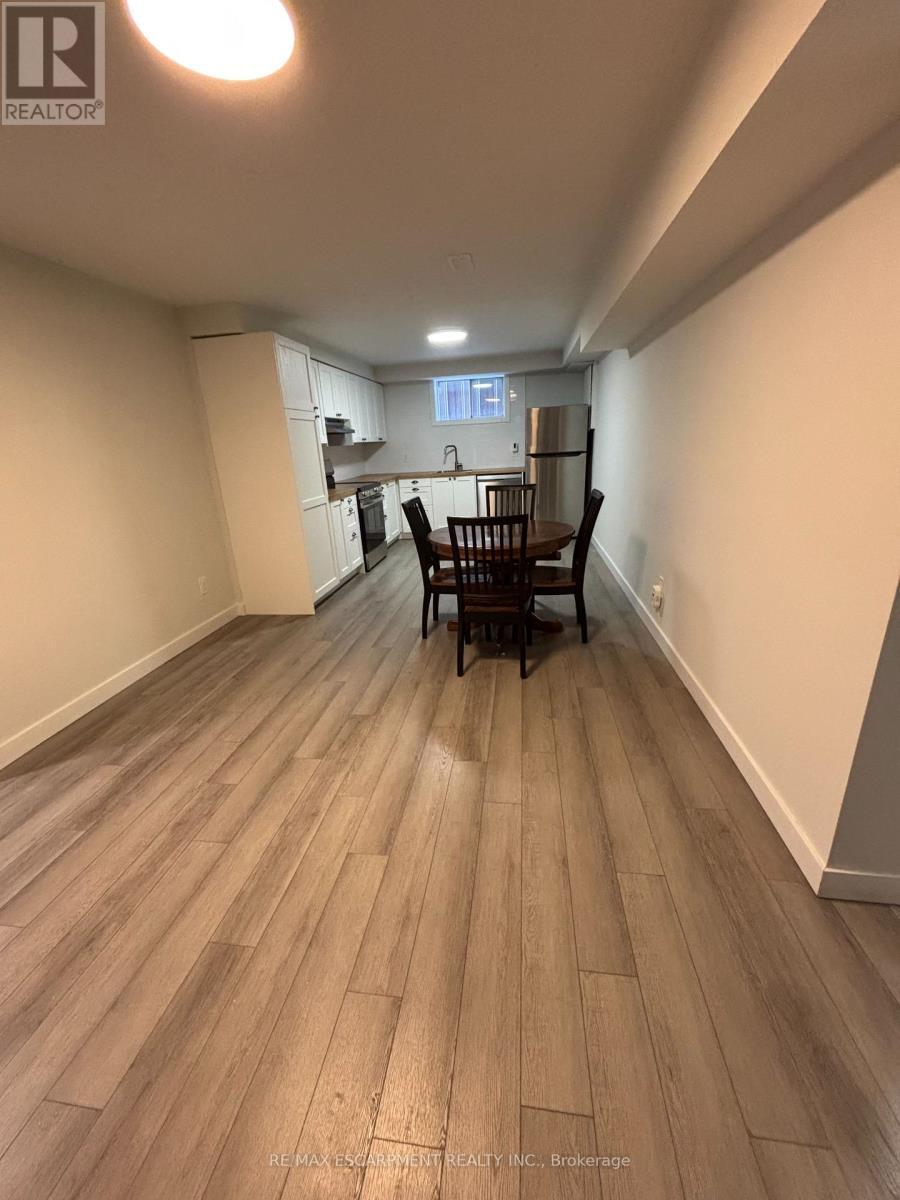 Lower - 19 Pavarotti Court, Hamilton, ON - Indoor