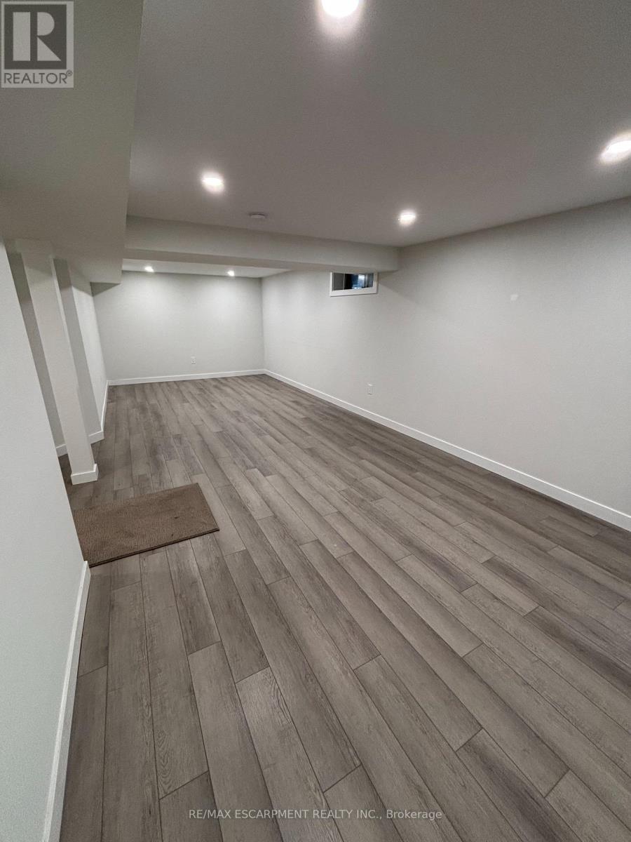 Lower - 19 Pavarotti Court, Hamilton, ON - Indoor