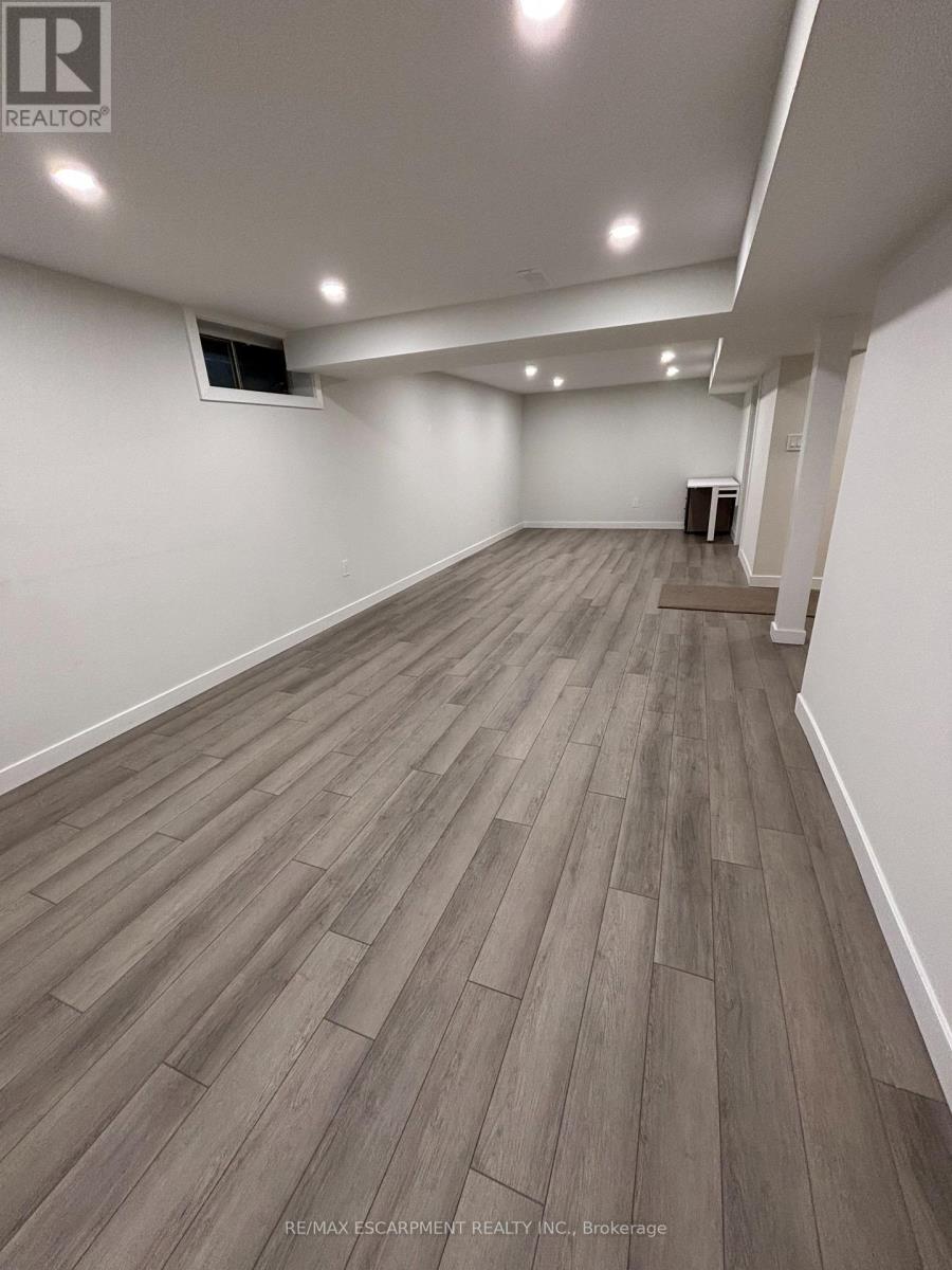 Lower - 19 Pavarotti Court, Hamilton, ON - Indoor