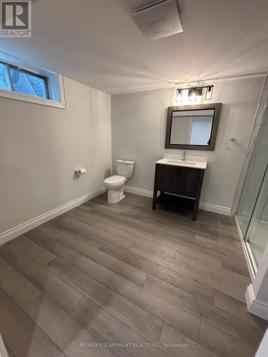 Lower - 19 Pavarotti Court, Hamilton, ON - Indoor