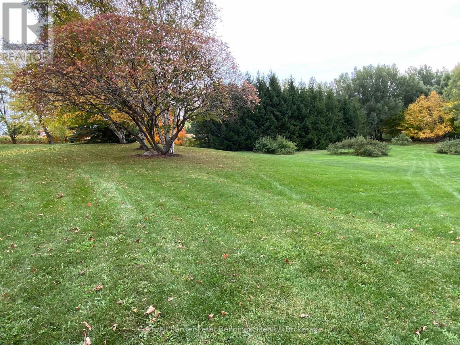 Another view of trees and lawns around the home. - 1315 Concession 8 Concession, Kincardine, ON