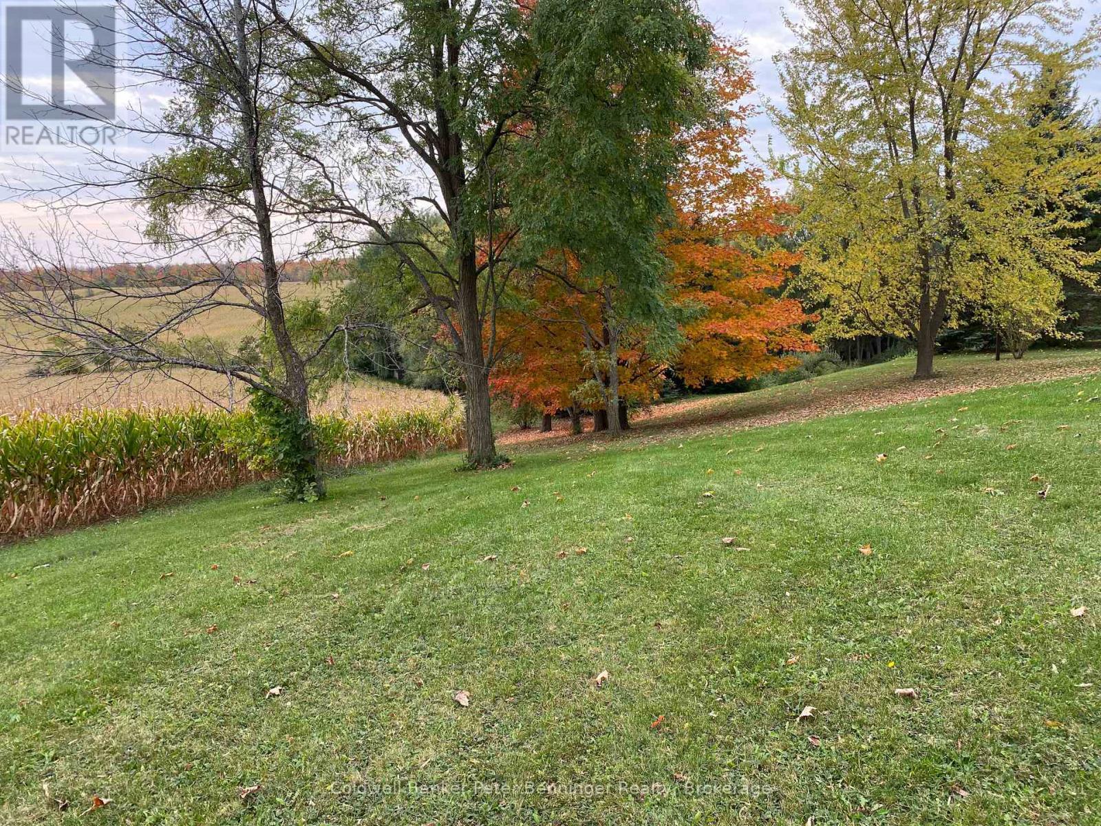 Lawn east of home. - 1315 Concession 8 Concession, Kincardine, ON