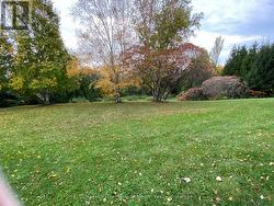 Another view of landscaping. -