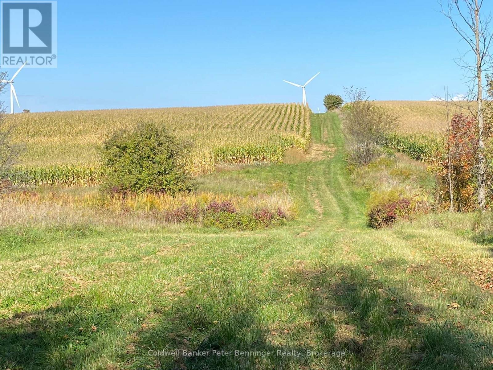 Corn crop on cropland. - 1315 Concession 8 Concession, Kincardine, ON