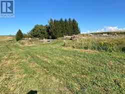 Bank barn partial foundation. -