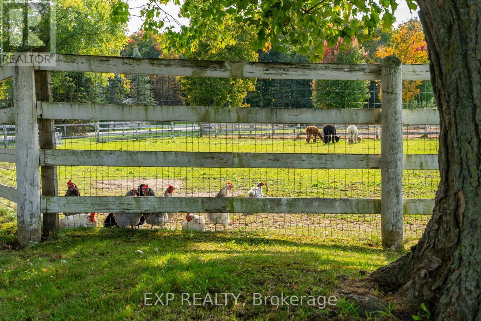 772 Townline Road W, Scugog, ON