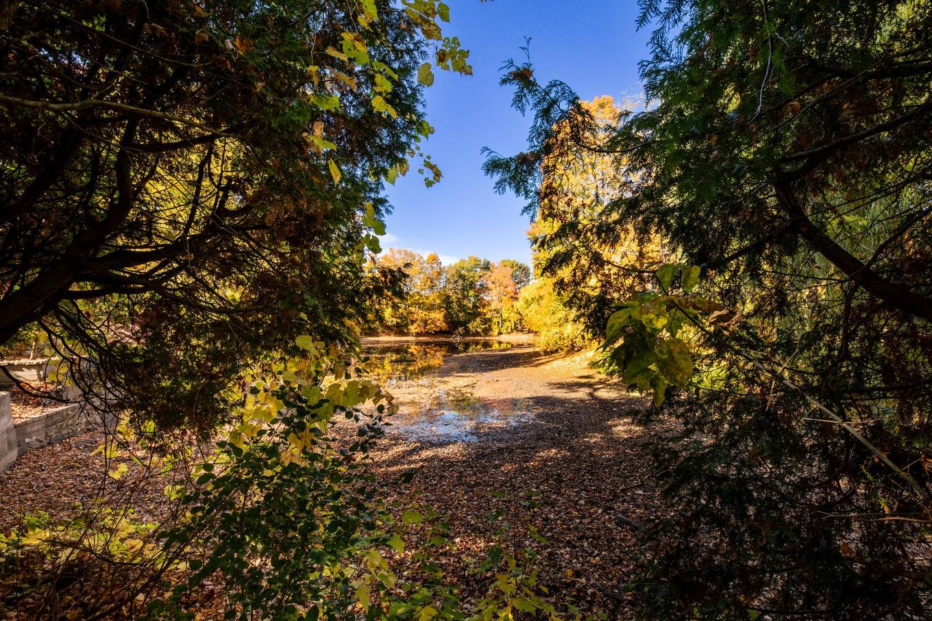 Bord de l'eau - 5315 Boul. Gouin O., Montréal (Ahuntsic-Cartierville), QC - Outdoor With View