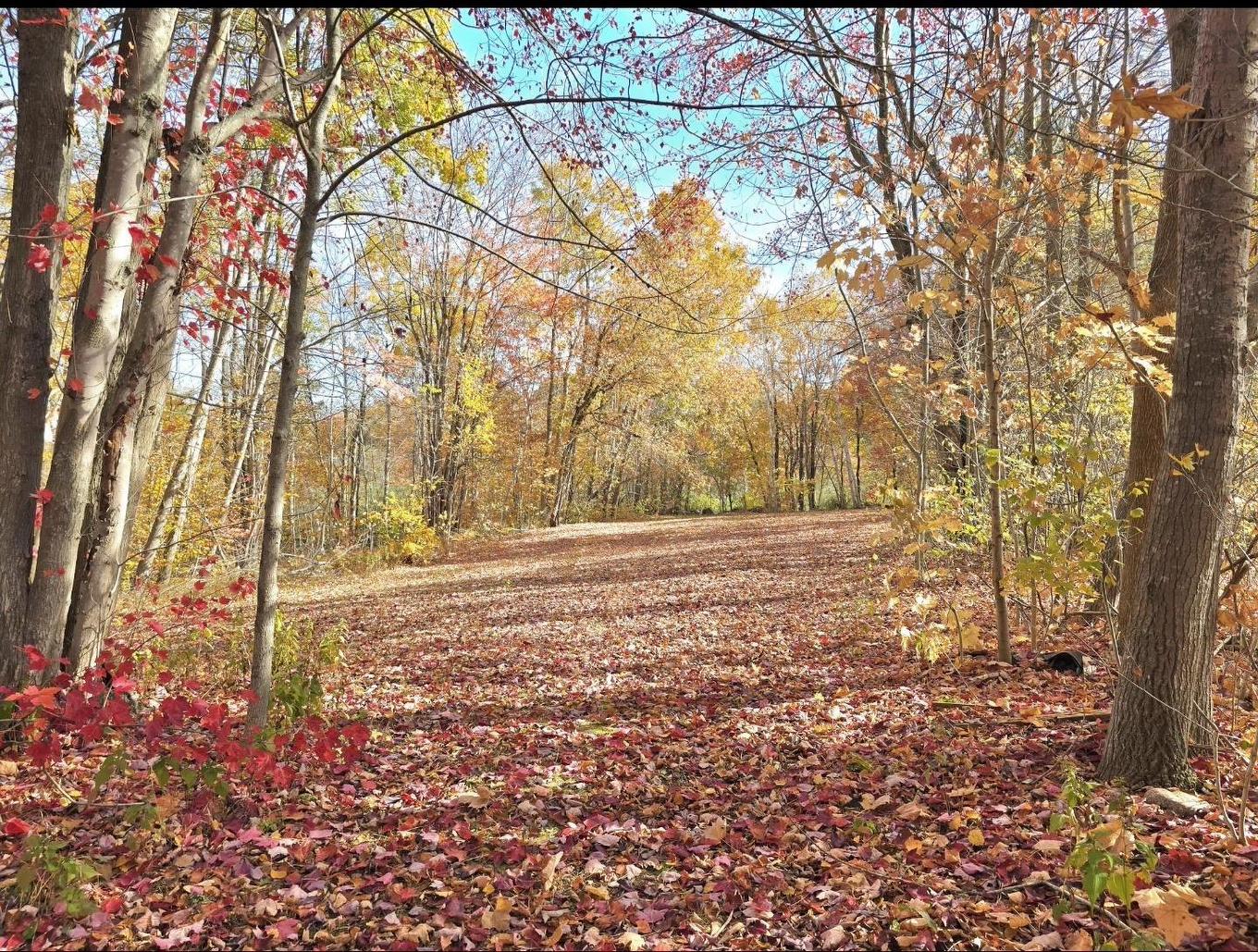 8921 221 Highway, Sheffield Mills, NS