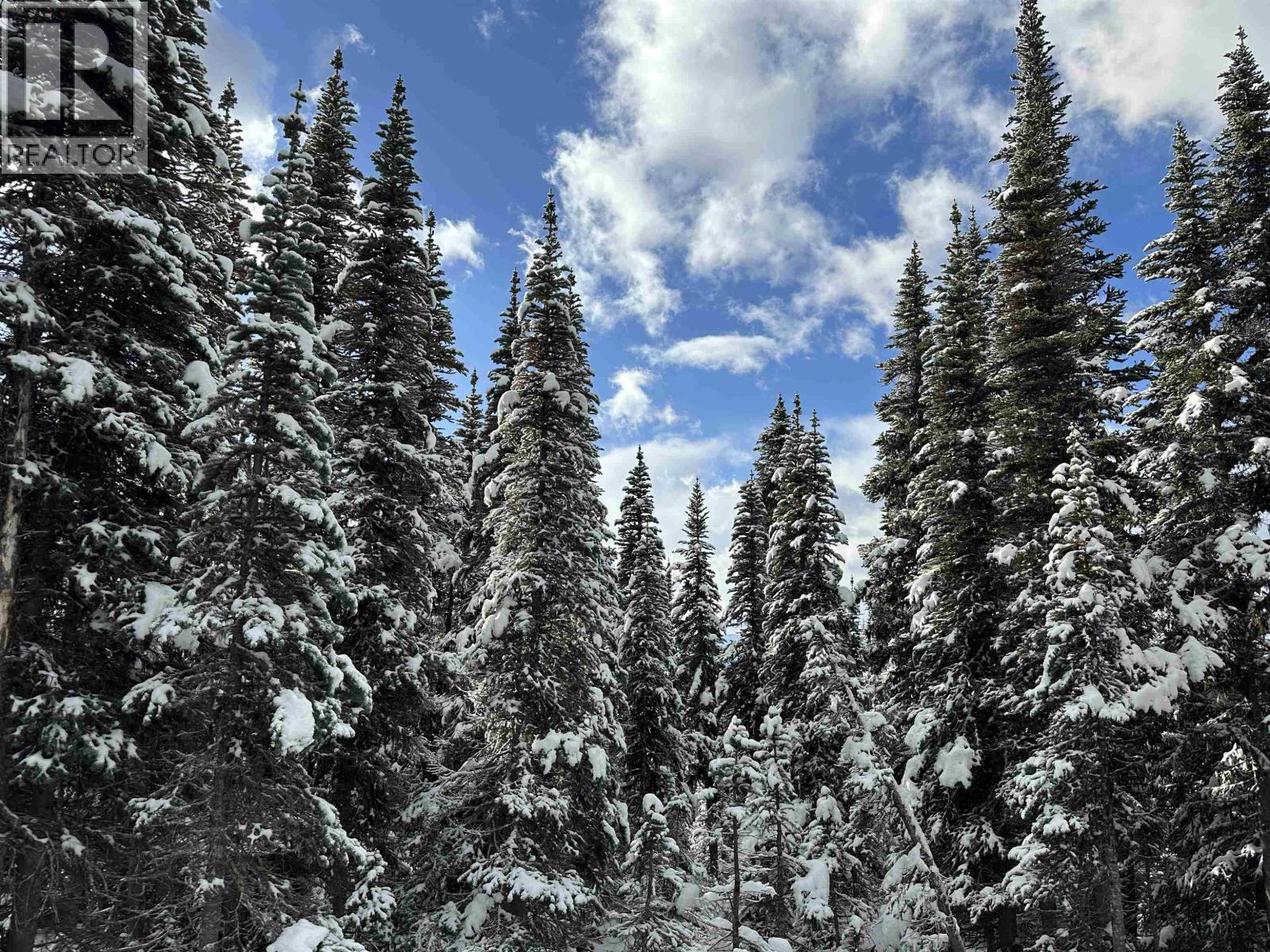 345 Prairie Road, Smithers, BC