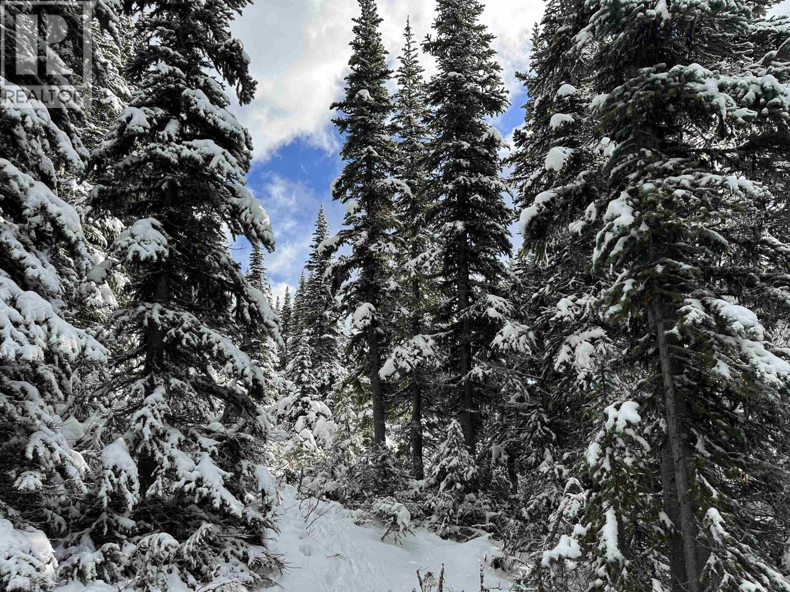 345 Prairie Road, Smithers, BC