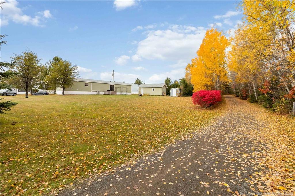 50 Sophie, Dieppe, NB