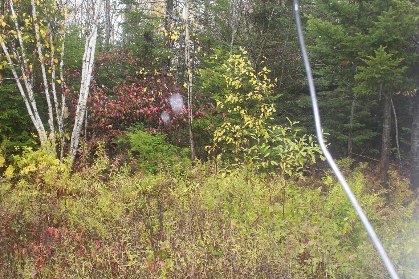 83 Pleasant Valley Road, Pleasant Valley, NS