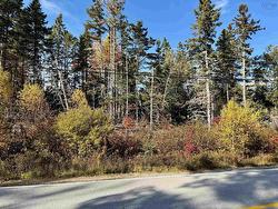Lots Highway 331 Voglers Cove, NS B0J 2H0