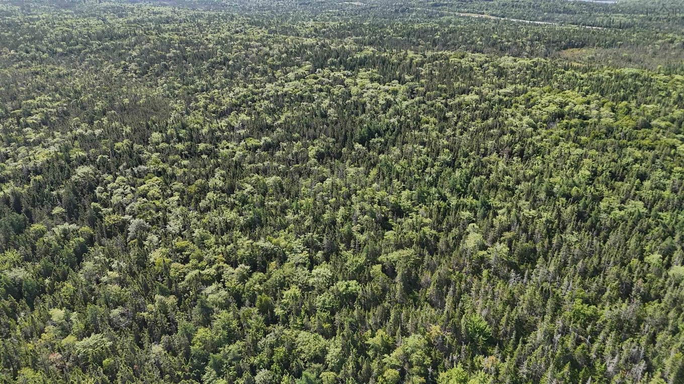 70 Acre Highway 4, Grande Anse, NS