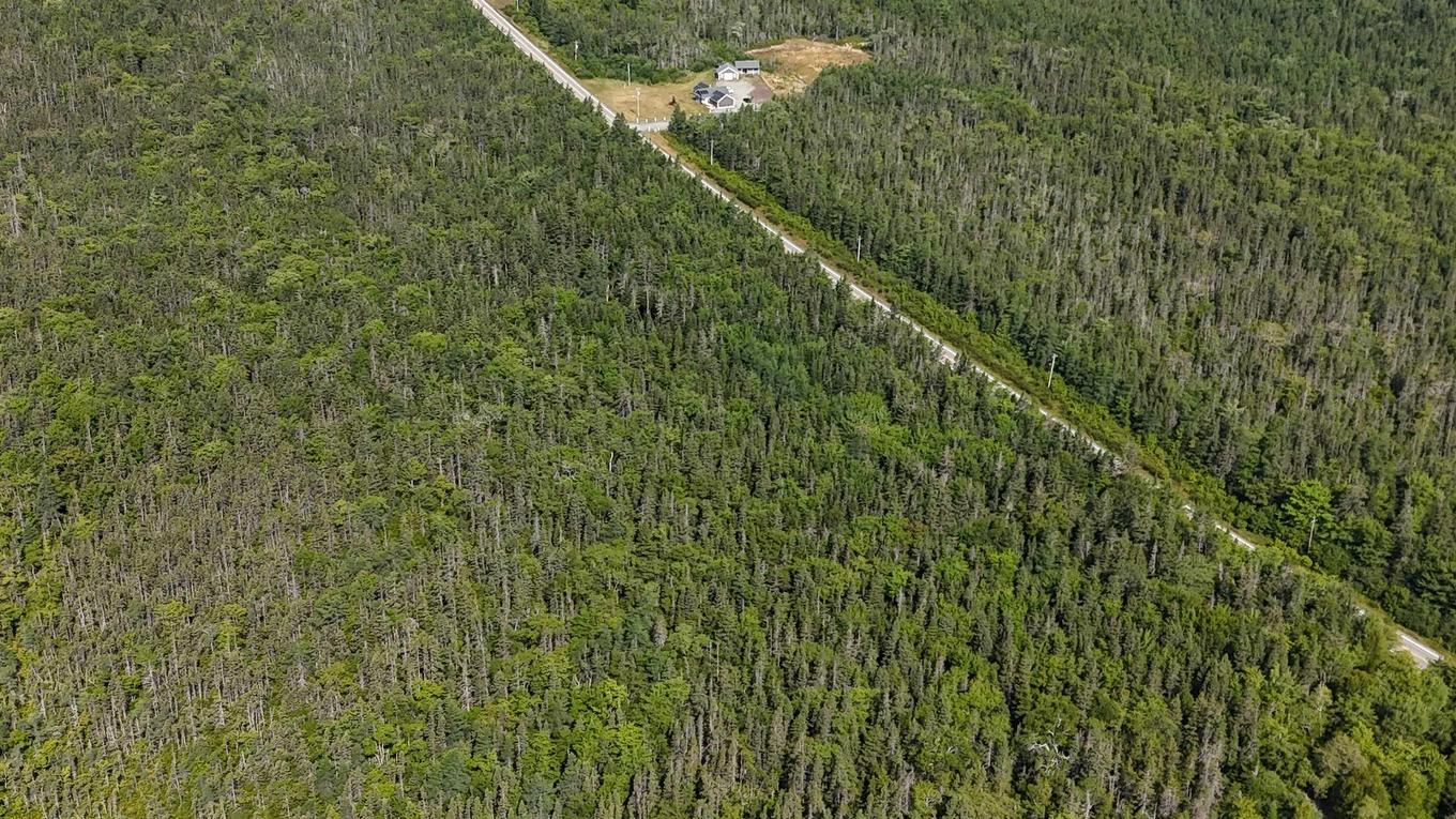70 Acre Highway 4, Grande Anse, NS