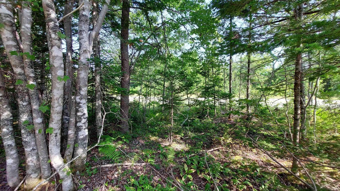 70 Acre Highway 4, Grande Anse, NS