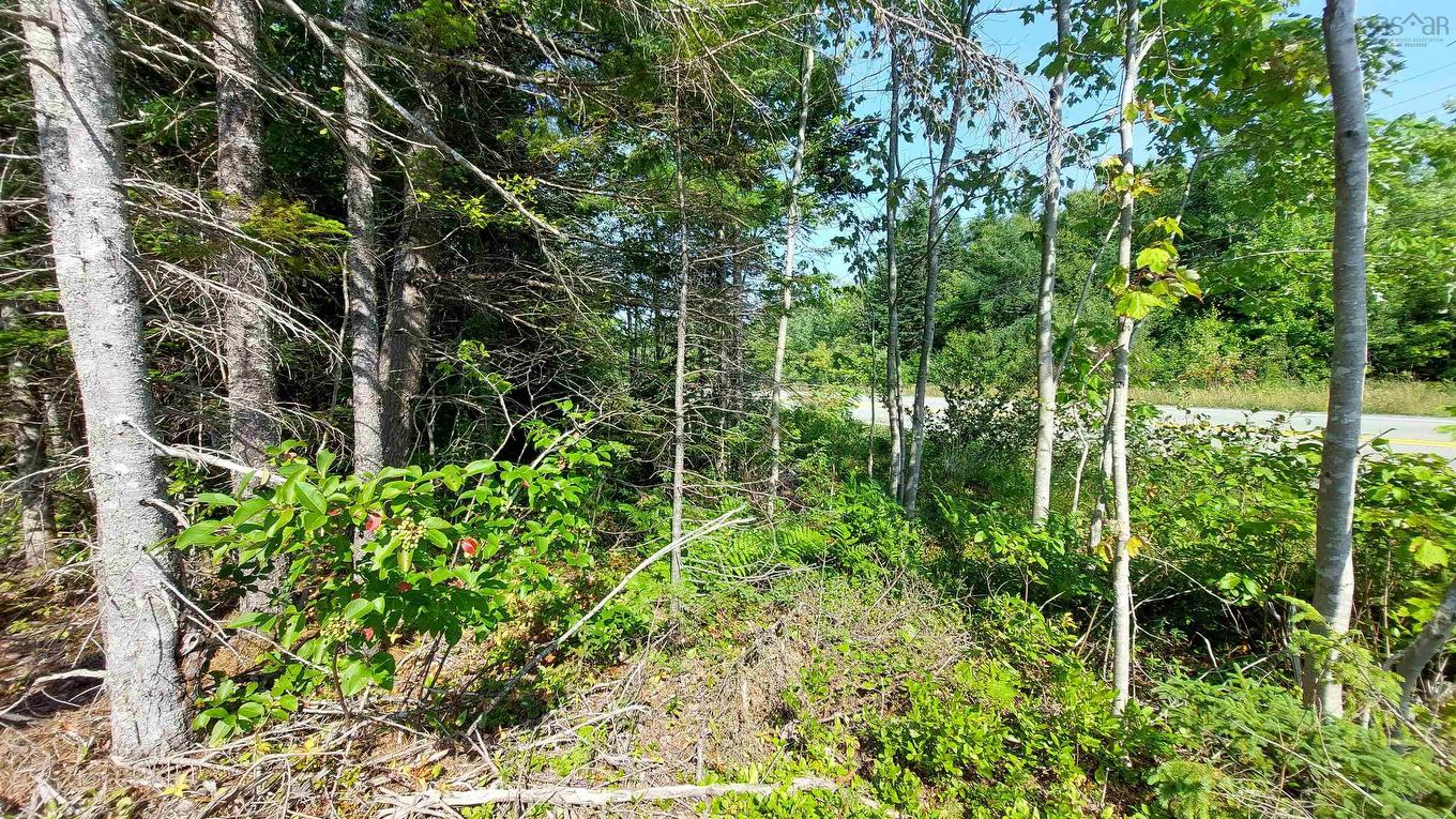 70 Acre Highway 4, Grande Anse, NS