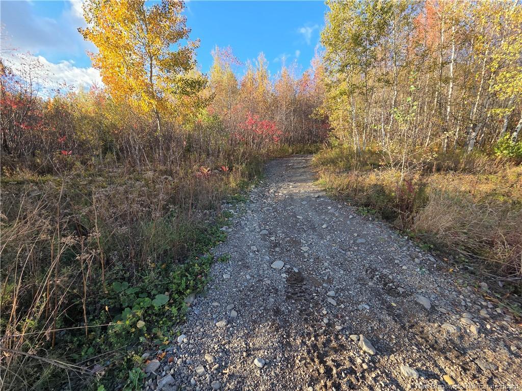 1 Connell Rd, Woodstock, NB