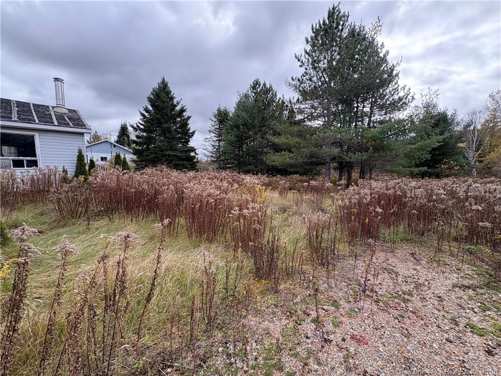 11 Deleavy Rd, Hazeldean, NB