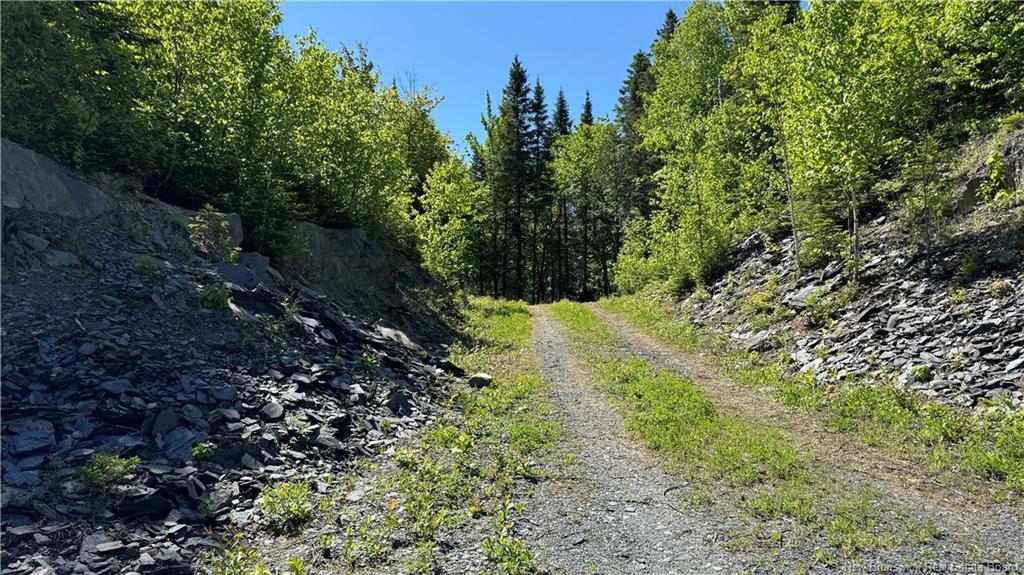 62 De La Falaise St, Edmundston, NB